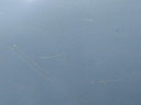 16886494177232426009945986623946.jpg