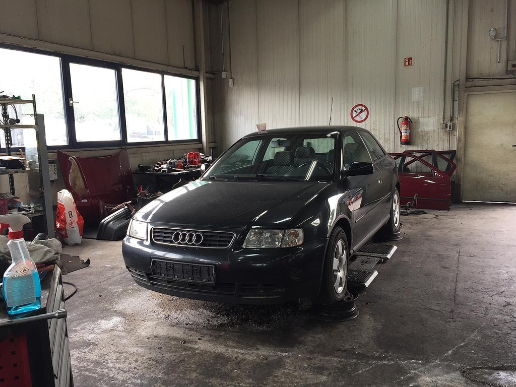 IMG_4679.JPG