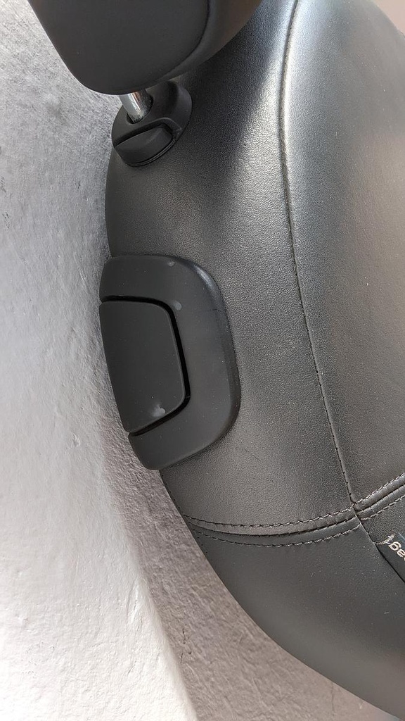 PXL_20230710_091655689.jpg