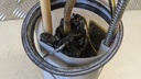 PXL_20230711_085447656.jpg