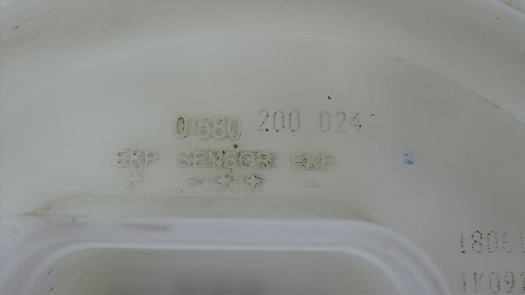 DSC08300.JPG