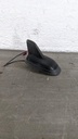 PXL_20230717_112624251.jpg