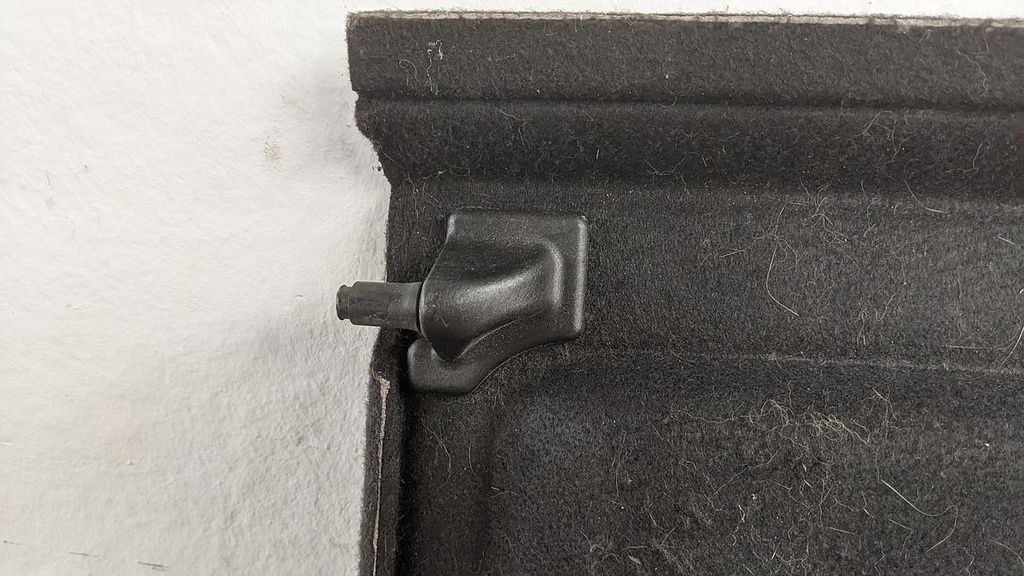 PXL_20230717_113516323.jpg
