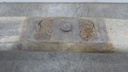 DSC09477.JPG