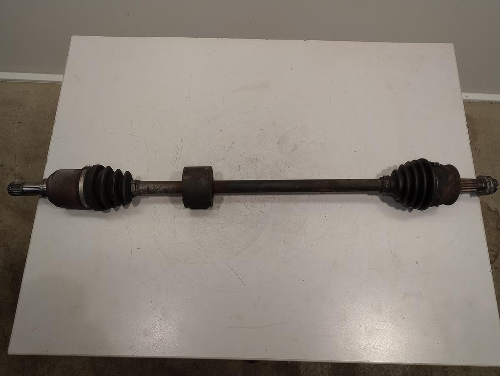 IMG_20230728_095555581.jpg