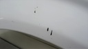 DSC00476.JPG