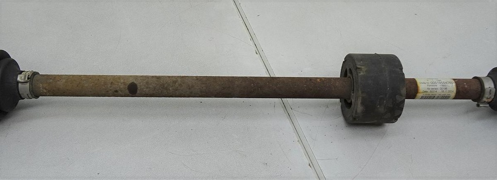 DSC00576.JPG