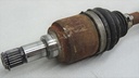 DSC00574.JPG