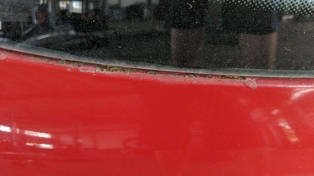 PXL_20230810_112500956.jpg