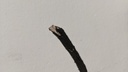 PXL_20230810_133300495.jpg