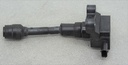 DSC02213.JPG