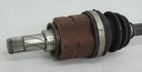 DSC03920.JPG