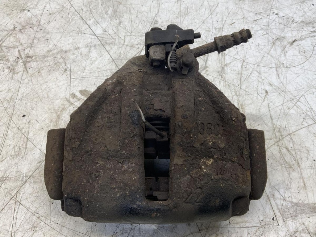IMG_2457.jpeg