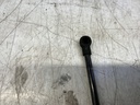 IMG_2643.jpeg