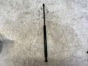 IMG_2641.jpeg