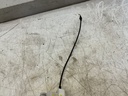 IMG_2664.jpeg