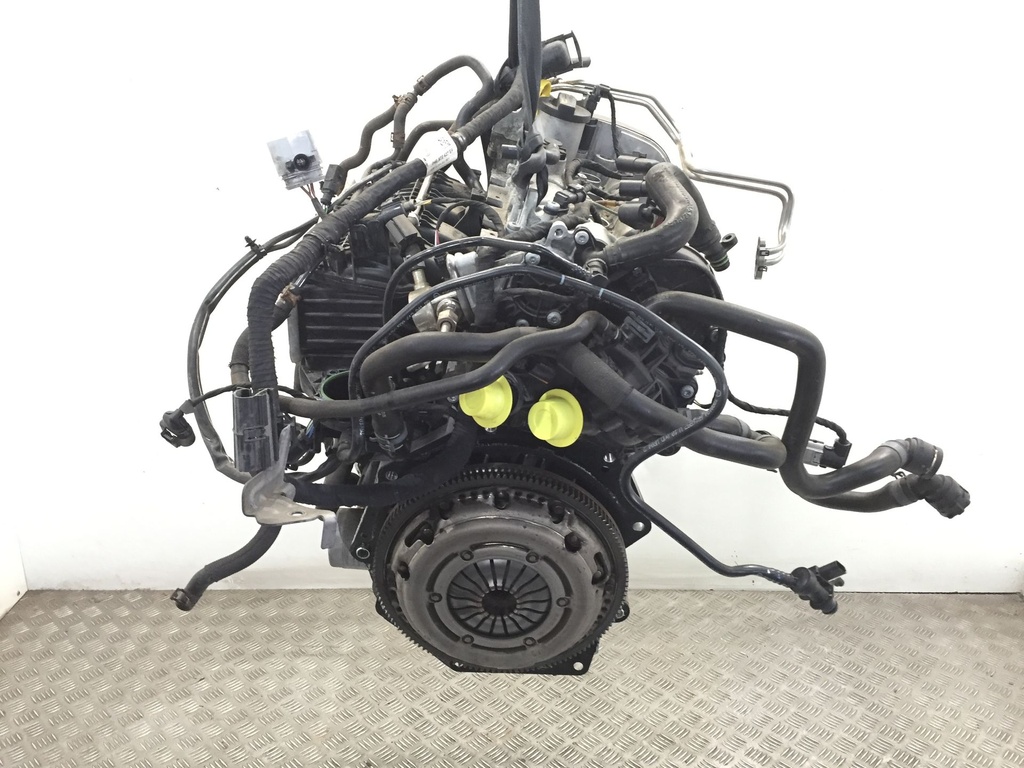 IMG_7574.JPG