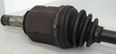 DSC04350.JPG