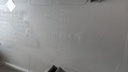 PXL_20230906_121936217.jpg
