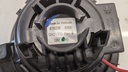 PXL_20230830_113453390.jpg