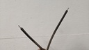 PXL_20230901_105213009.jpg