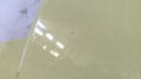 PXL_20230907_121300051.jpg