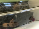 IMG_2988.jpeg