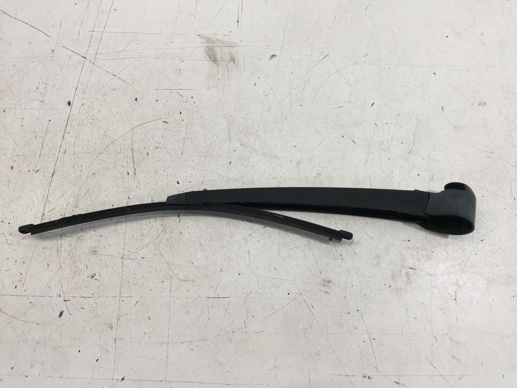 IMG_7319.JPG
