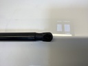 IMG_3108.jpeg