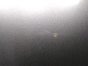 16950364451445608048411523704406.jpg