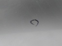 16950430591321894743521161024573.jpg