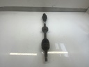 IMG_4046.jpeg