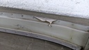 PXL_20230920_115729201.jpg