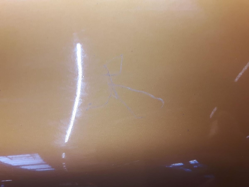 20231004_124605.jpg