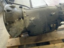 IMG_4370.jpeg