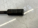 IMG_4745.jpeg