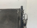 IMG_4780.jpeg