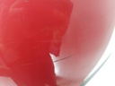 20231010_130923.jpg