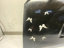 IMG_5121.jpeg