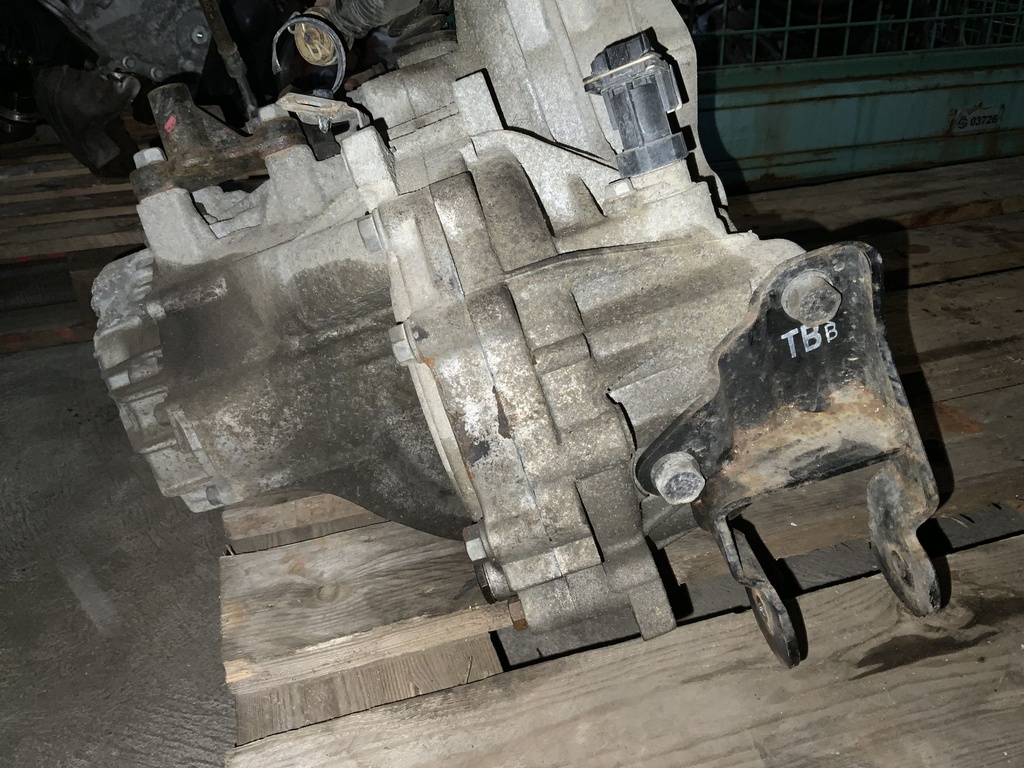 IMG_5455.jpeg