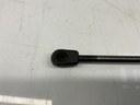 IMG_5579.jpeg