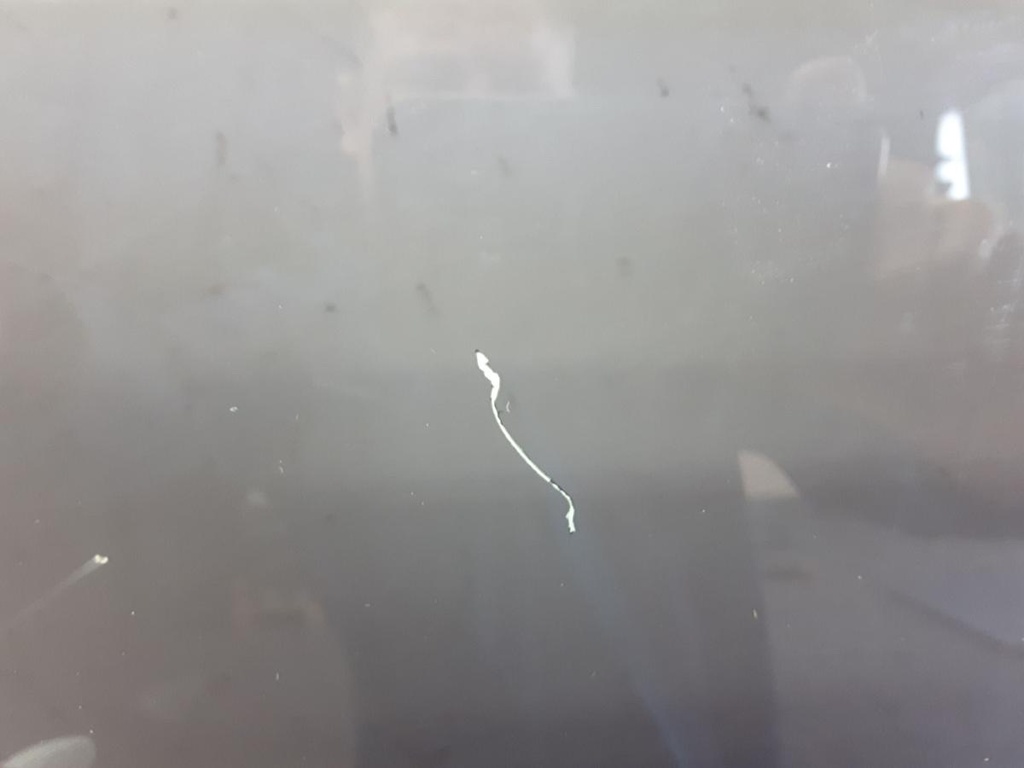 20231023_100115.jpg