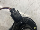 IMG_6052.jpeg