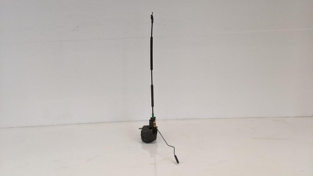 PXL_20231027_125411747.jpg