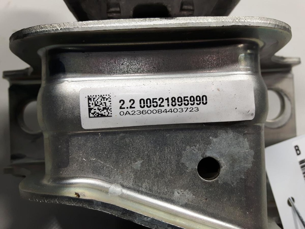 20231110_132745.jpg