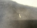 IMG_6621.jpeg