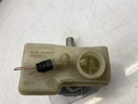 IMG_6734.jpeg