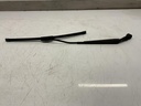 IMG_7289.jpeg
