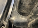 IMG_7377.jpeg