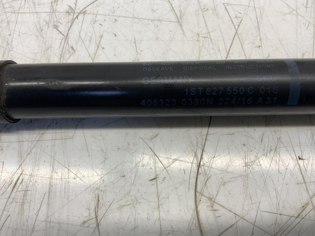 IMG_7390.jpeg